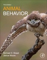 Michael D. Breed, Janice Moore - Animal Behavior, Häftad