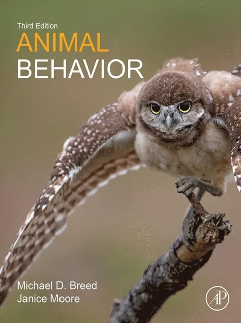 Janice Moore, Michael D. Breed - Animal Behavior, E-bok