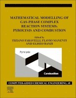 Mathematical Modelling of Gas-Phase Complex Reaction Systems: Pyrolysis and Combustion