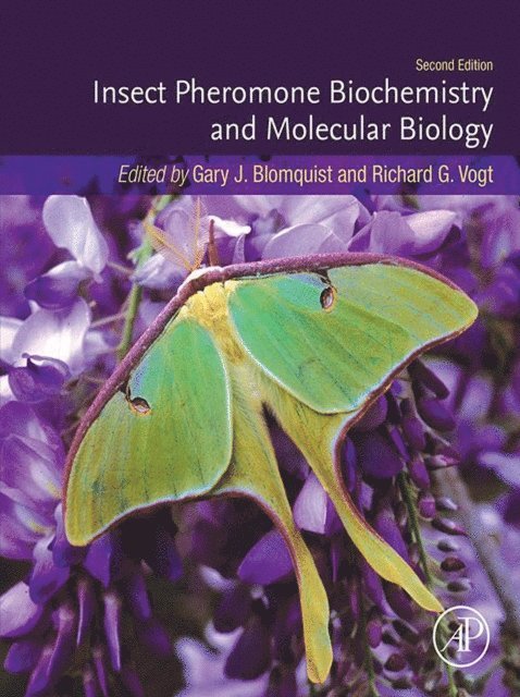 Richard Vogt, Gary Blomquist - Insect Pheromone Biochemistry and Molecular Biology, E-bok