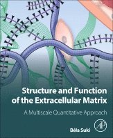 Bela Suki - Structure and Function of the Extracellular Matrix, Häftad