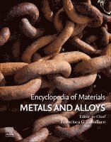Encyclopedia of Materials: Metals and Alloys, Inbunden