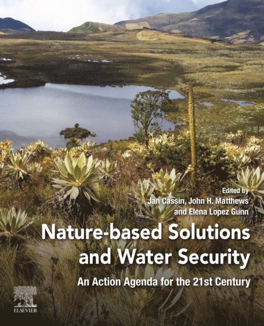 Elena Lopez Gunn, John H. Matthews, Jan Cassin - Nature-Based Solutions and Water Security, E-bok