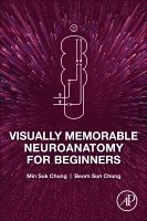 Visually Memorable Neuroanatomy for Beginners