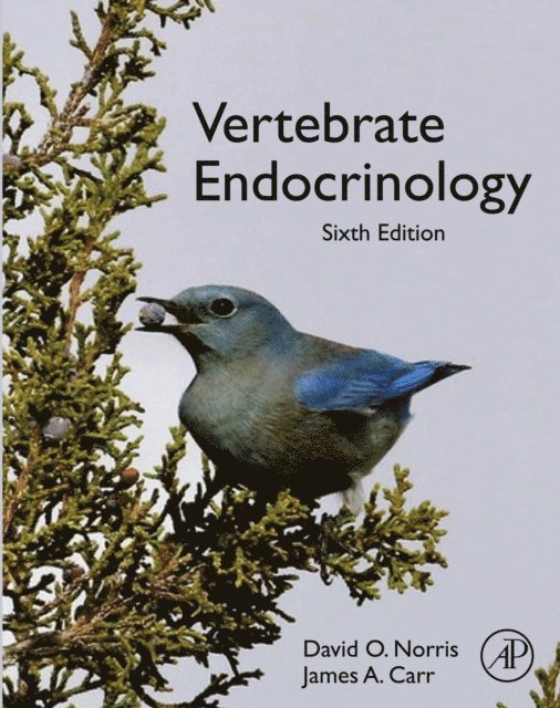 James A. Carr, David O. Norris - Vertebrate Endocrinology, E-bok