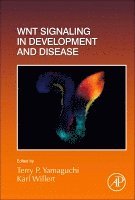 Wnt Signaling in Development and Disease