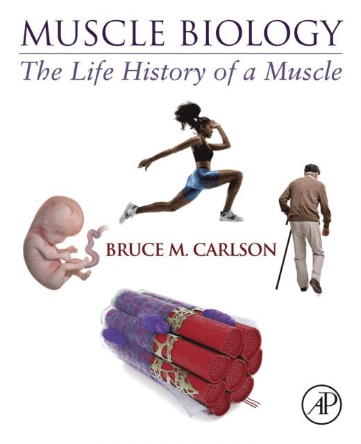 Bruce M. Carlson - Muscle Biology, E-bok