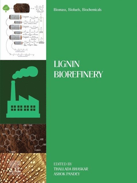 Ashok Pandey, Thallada Bhaskar - Biomass, Biofuels, Biochemicals, E-bok