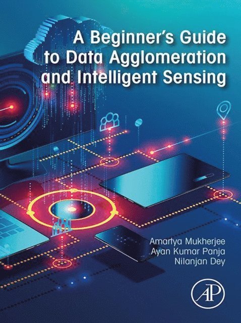 Nilanjan Dey, Ayan Kumar Panja, Amartya Mukherjee - Beginner's Guide to Data Agglomeration and Intelligent Sensing, E-bok