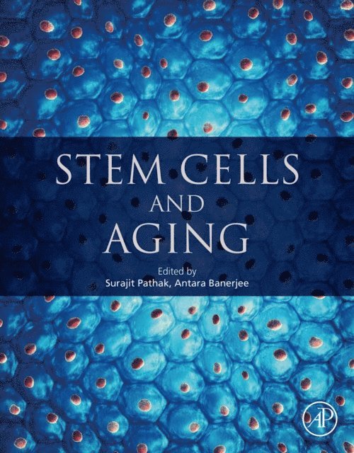 Antara Banerjee, Surajit Pathak - Stem Cells and Aging, E-bok