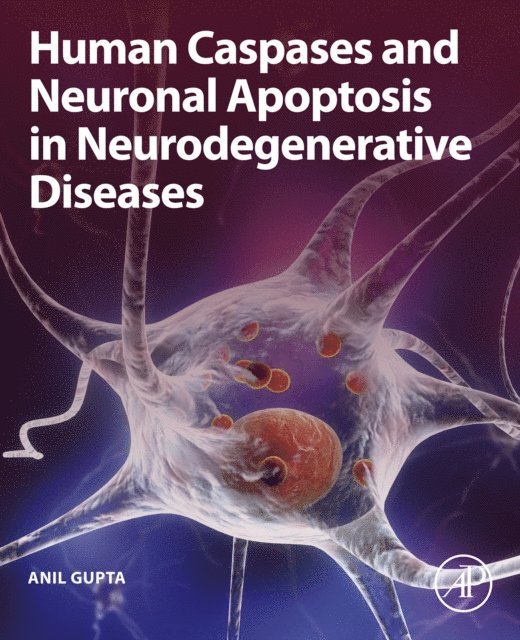 Anil Gupta - Human Caspases and Neuronal Apoptosis in Neurodegenerative Diseases, E-bok