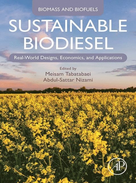 Abdul-Sattar Nizami, Meisam Tabatabaei - Sustainable Biodiesel, E-bok