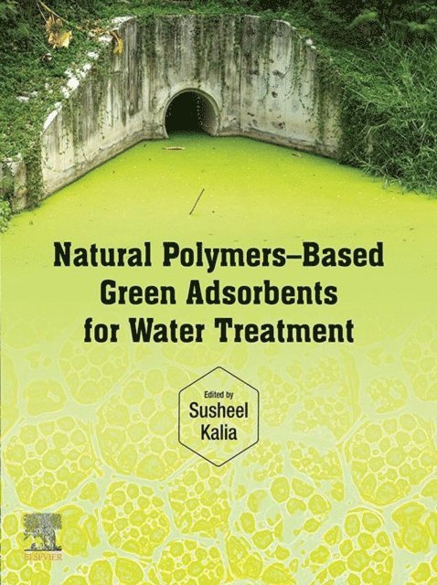 Susheel Kalia - Natural Polymers-Based Green Adsorbents for Water Treatment, E-bok
