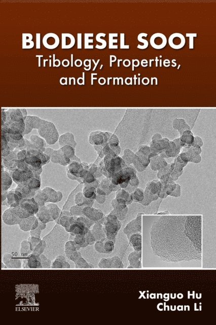 Xianguo Hu, Chuan Li - Biodiesel Soot, E-bok