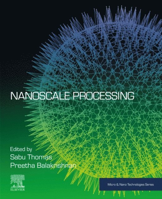 Preetha Balakrishnan, Sabu Thomas - Nanoscale Processing, E-bok