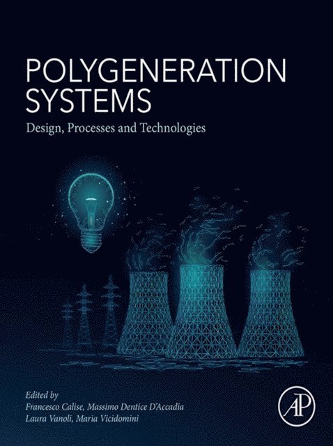 Maria Vicidomini, Massimo Dentice D'Accadia, Laura Vanoli, Francesco Calise - Polygeneration Systems, E-bok