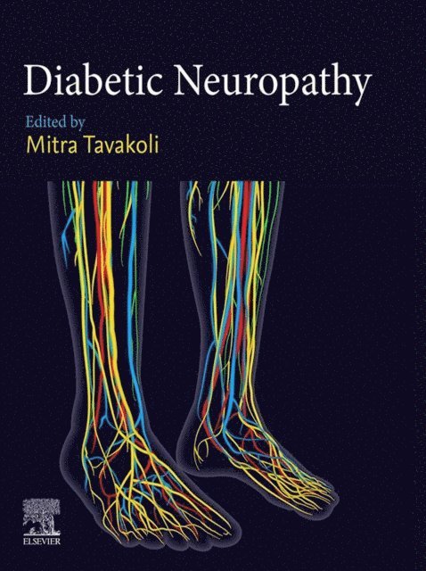 Mitra Tavakoli - Diabetic Neuropathy, E-bok
