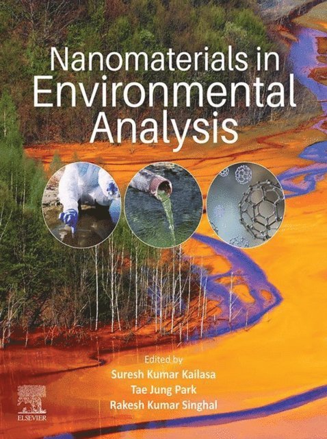 Rakesh Kumar Singhal, Tae Jung Park, Suresh Kumar Kailasa - Nanomaterials in Environmental Analysis, E-bok