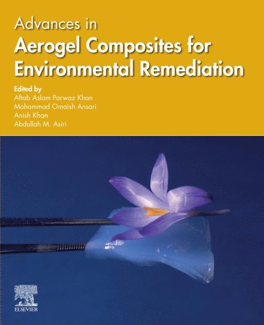 Abdullah M. Asiri, Anish Khan, Mohammad Omaish Ansari, Aftab Aslam Parwaz Khan - Advances in Aerogel Composites for Environmental Remediation, E-bok