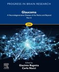 Glaucoma: A Neurodegenerative Disease of the Retina and Beyond: Part A