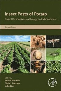 Insect Pests of Potato