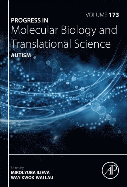 Autism, E-bok