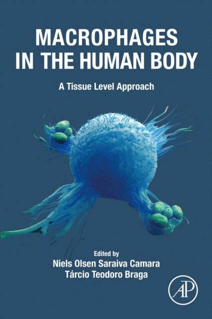 Tarcio Teodoro Braga, Niels Olson Saraiva Camara - Macrophages in the Human Body, E-bok