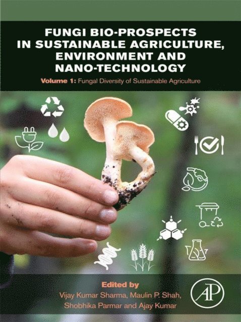 Ajay Kumar, Shobhika Parmar, Maulin P. Shah, Vijay Kumar Sharma - Fungi Bio-prospects in Sustainable Agriculture, Environment and Nano-technology, E-bok