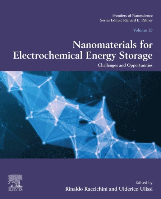 Ulderico Ulissi, Rinaldo Raccichini - Nanomaterials for Electrochemical Energy Storage, E-bok