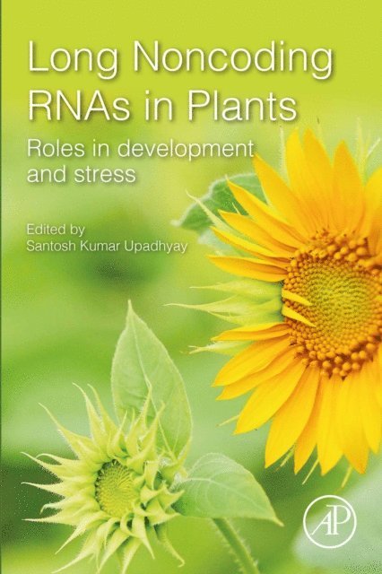 Santosh Kumar Upadhyay - Long Noncoding RNAs in Plants, E-bok