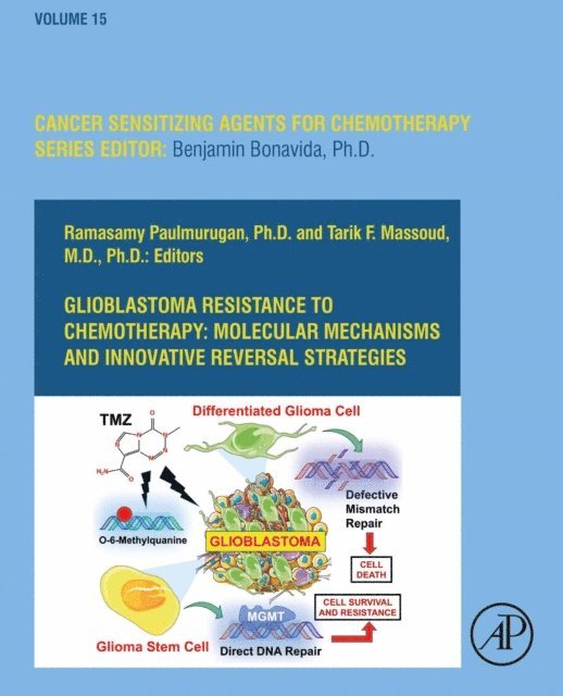 Tarik F. Massoud, Ramasamy Paulmurugan - Glioblastoma Resistance to Chemotherapy: Molecular Mechanisms and Innovative Reversal Strategies, E-bok