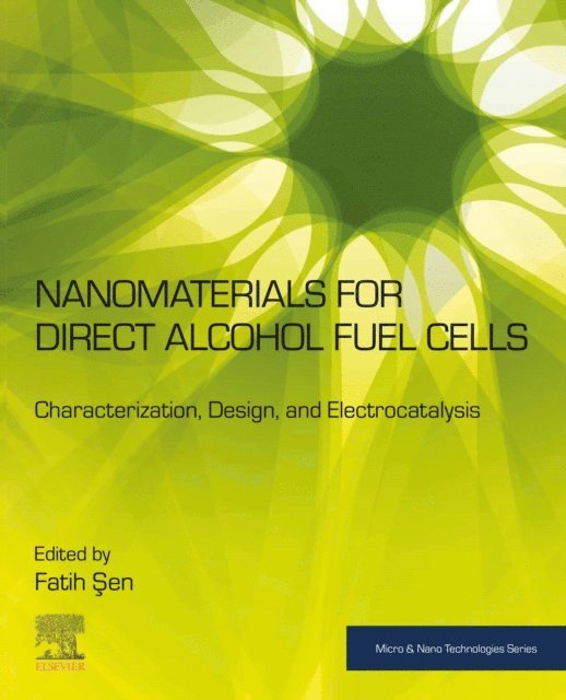 Fatih Sen - Nanomaterials for Direct Alcohol Fuel Cells, E-bok