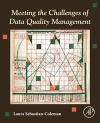 Meeting the Challenges of Data Quality Management