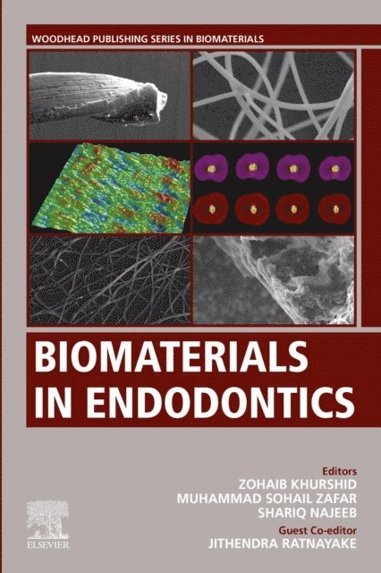 Jithendra Ratnayake, Shariq Najeeb, Muhammad Zafar, Zohaib Khurshid - Biomaterials in Endodontics, E-bok