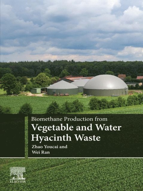 Wei Ran, Zhao Youcai - Biomethane Production from Vegetable and Water Hyacinth Waste, E-bok