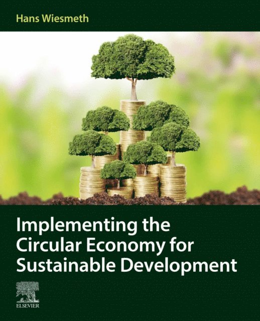 Hans Wiesmeth - Implementing the Circular Economy for Sustainable Development, E-bok