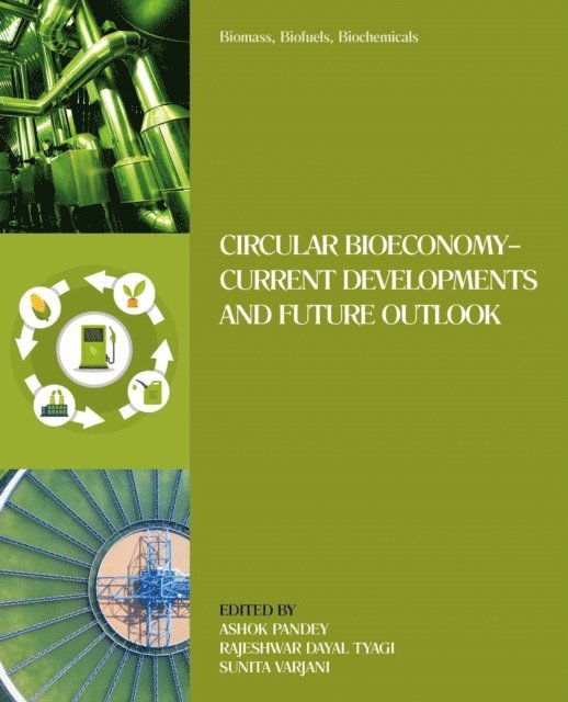 Sunita Varjani, R. D. Tyagi, Ashok Pandey - Biomass, Biofuels, Biochemicals, E-bok