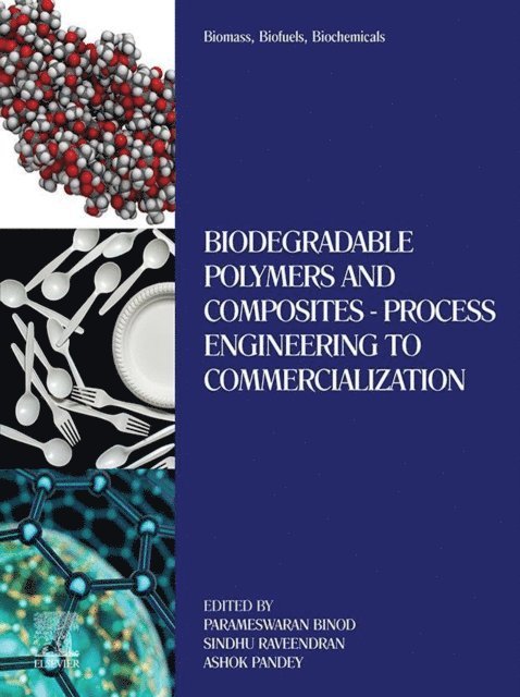 Ashok Pandey, Sindhu Raveendran, Parameswaran Binod - Biomass, Biofuels, Biochemicals, E-bok