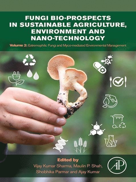 Ajay Kumar, Shobhika Parmar, Maulin P. Shah, Vijay Kumar Sharma - Fungi Bio-prospects in Sustainable Agriculture, Environment and Nano-technology, E-bok
