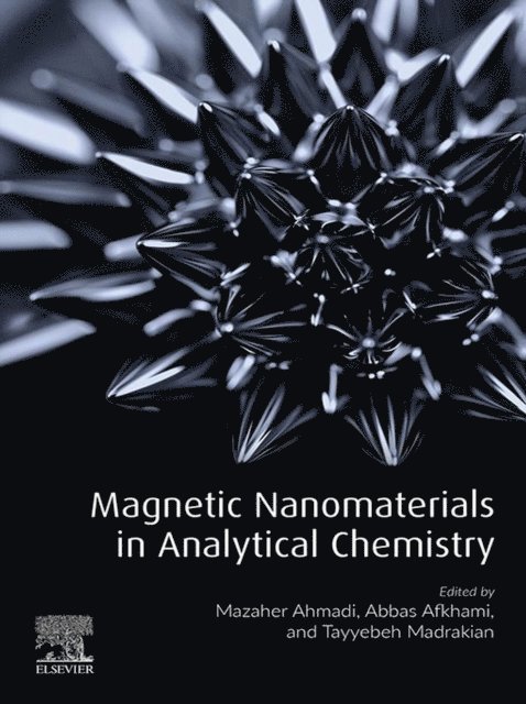 Tayyebeh Madrakian, Abbas Afkhami, Mazaher Ahmadi - Magnetic Nanomaterials in Analytical Chemistry, E-bok