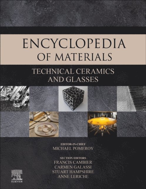 Michael Pomeroy - Encyclopedia of Materials: Technical Ceramics and Glasses, E-bok