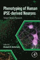 Elizabeth D. Buttermore - Phenotyping of Human iPSC-derived Neurons, Häftad