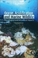 Ocean Acidification and Marine Wildlife