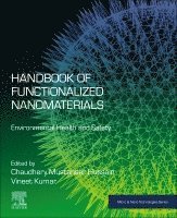 Handbook of Functionalized Nanomaterials