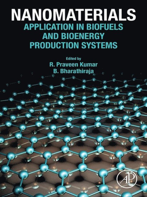 B. Bharathiraja, R. Praveen Kumar - Nanomaterials, E-bok