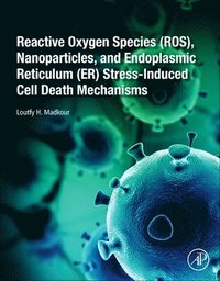 Reactive Oxygen Species (ROS), Nanoparticles, and Endoplasmic Reticulum (ER) Stress-Induced Cell Death Mechanisms