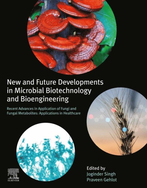 Praveen Gehlot, Joginder Singh Panwar - New and Future Developments in Microbial Biotechnology and Bioengineering, E-bok