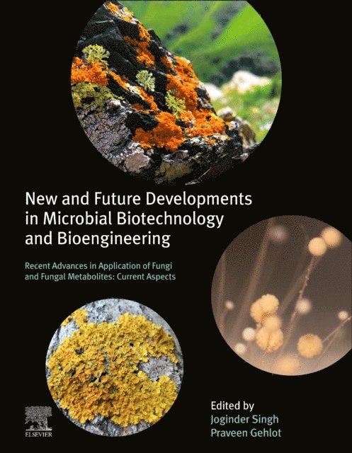 Praveen Gehlot, Joginder Singh Panwar - New and Future Developments in Microbial Biotechnology and Bioengineering, E-bok