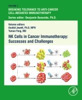 NK Cells in Cancer Immunotherapy: Successes and Challenges