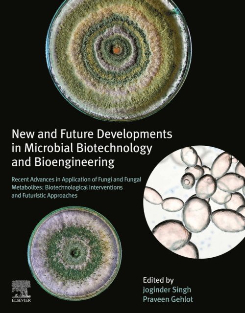 Praveen Gehlot, Joginder Singh Panwar - New and Future Developments in Microbial Biotechnology and Bioengineering, E-bok